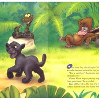 Портфолио Greg